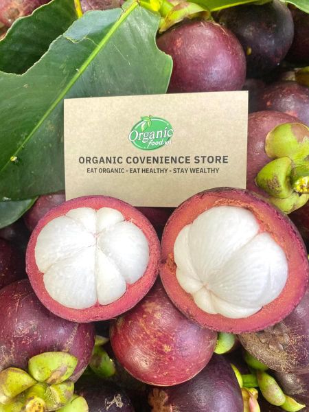 Măng Cụt Bảo Lộc Chuyển Đổi Hữu Cơ