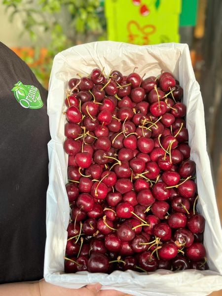 Cherry Hữu Cơ New Zealand