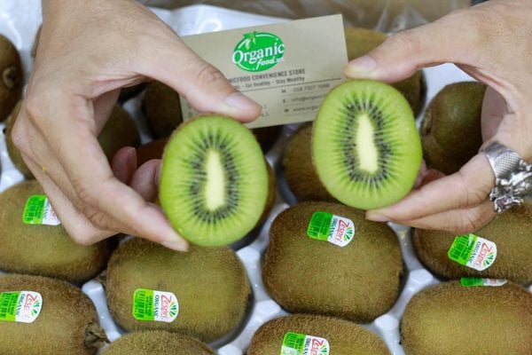 Kiwi xanh hữu cơ