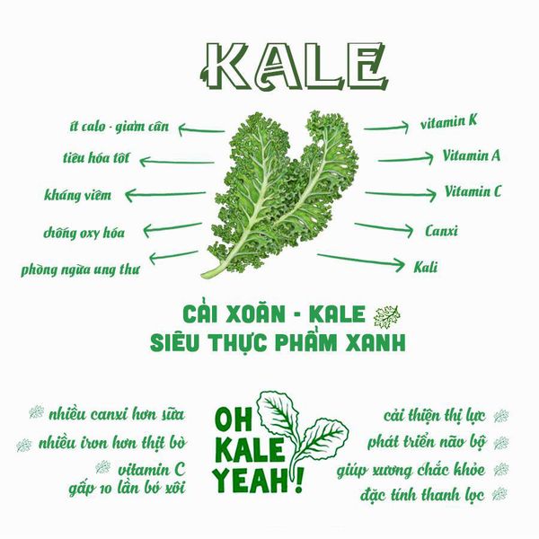 Bột cải kale hữu cơ Diet Food 100g