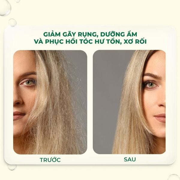 Dầu Gội Biotin 2X Professional Grade PURA DOR 473ml Organic Phục Hồi Tóc Hư Tổn Giảm Gãy Rụng Chuyên Sâu