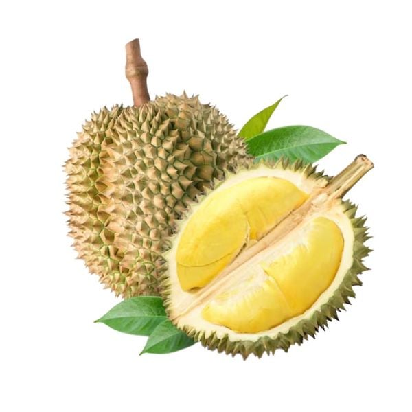 Sầu Riêng Hữu Cơ 1 trái
