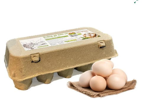Trứng Gà Ta Organic Sunny Farm Gia Hưng 10 trứng