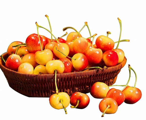 Cherry Vàng Mỹ size 9.5 - hộp 300gram