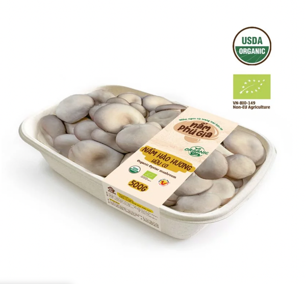 Nấm hào hương tươi hữu cơ Phú Gia 500g