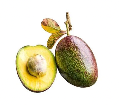 Bơ Cuba 1kg
