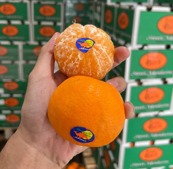 Quýt Úc Iron Bank size 48 - 1kg