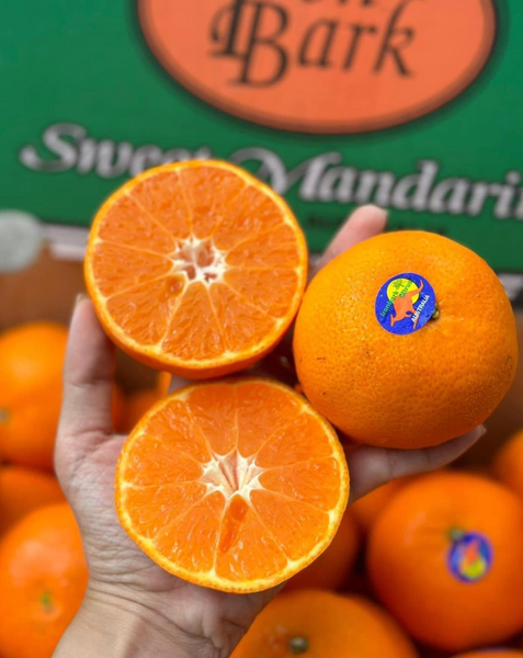 Quýt Úc Iron Bank size 48 - 1kg