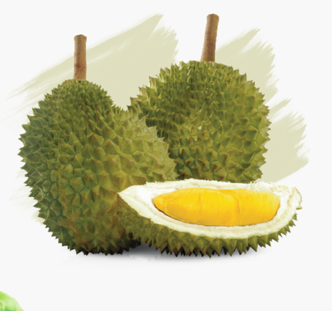 Sầu riêng Ri6 chín rụng