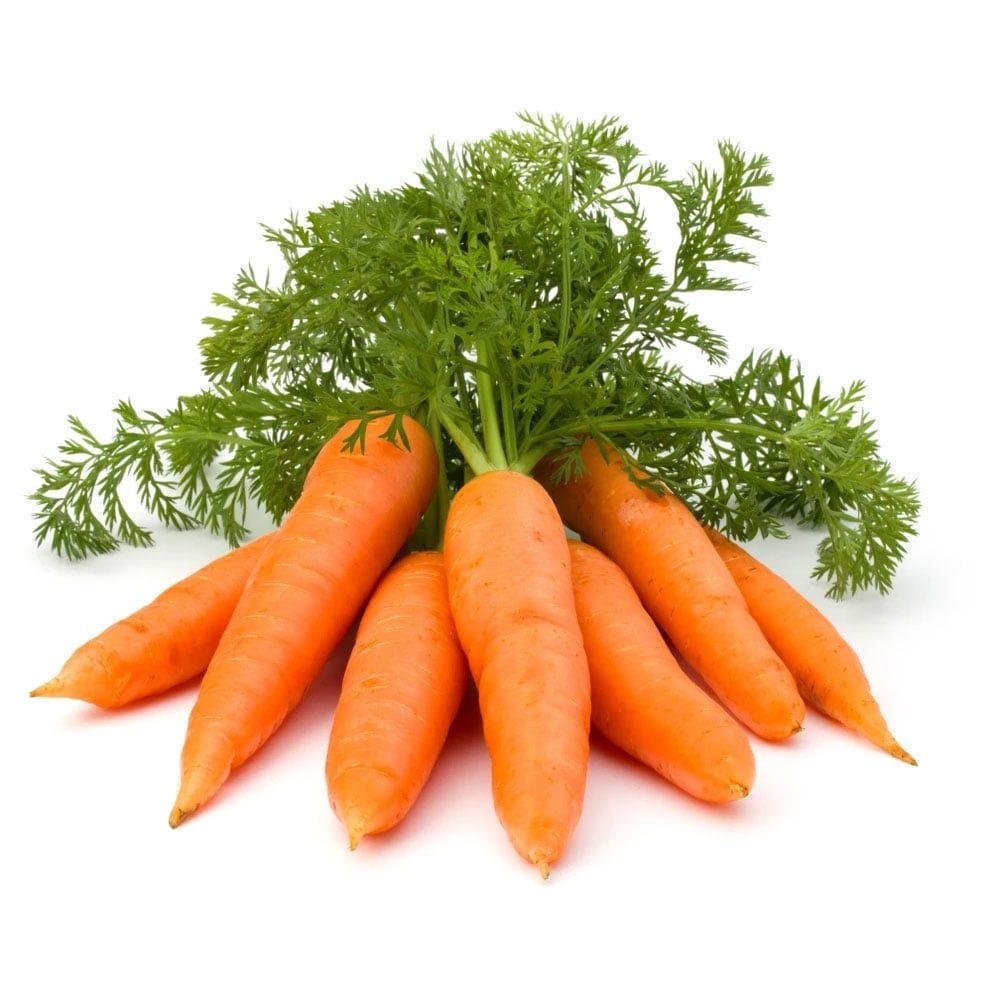 Cà Rốt Hữu Cơ - 300g – Cửa hàng thực phẩm hữu cơ Organicfood.vn