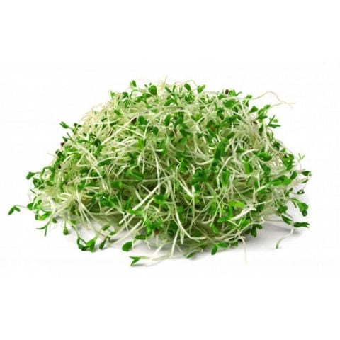 Rau cải mầm hữu cơ - 100g