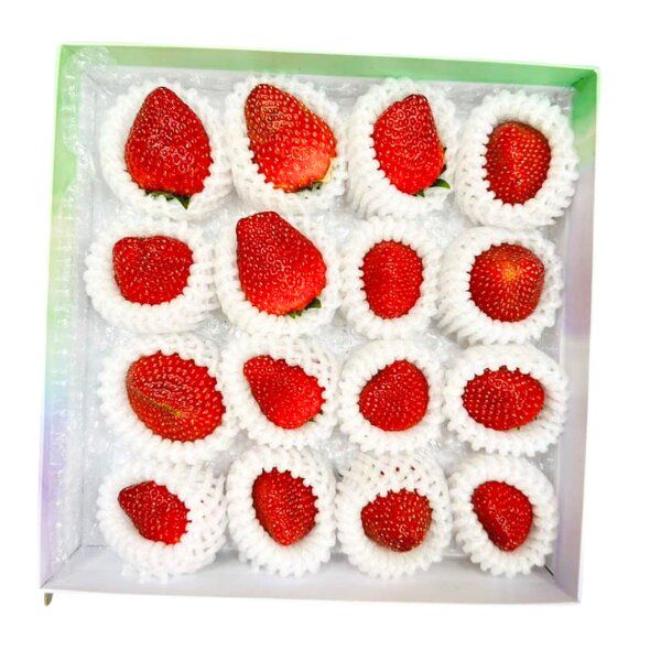 Dâu mộc châu Hana Organicfood hộp 250gr