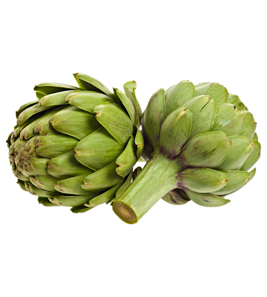 Bông Atiso Tươi Hữu Cơ loại 1