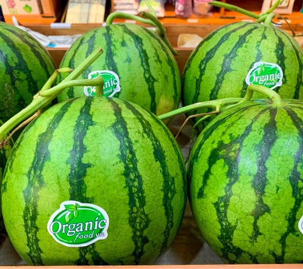 Dưa hấu không hạt organicfood 3kg