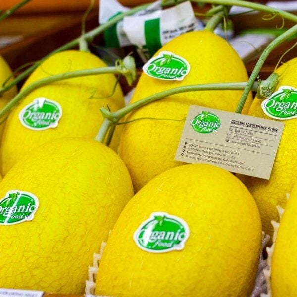 Dưa lưới huỳnh long  ~1,5kg