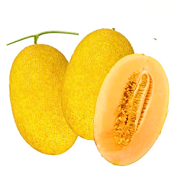 Dưa lưới huỳnh long organic sunny - 1kg