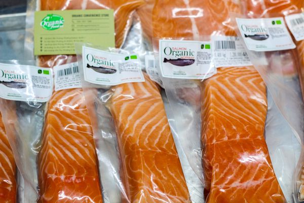 Phile cá hồi hữu cơ Vikenco - 200g