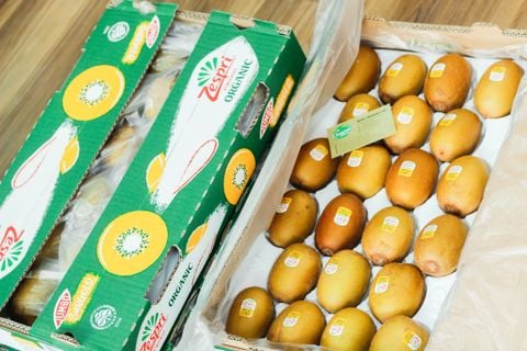 Kiwi vàng hữu cơ