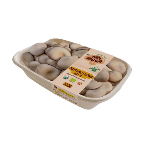 Nấm hào hương tươi hữu cơ 500g