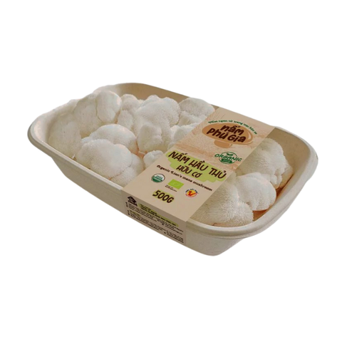 Nấm hầu thủ hữu cơ tươi Phú Gia (khay 500g)