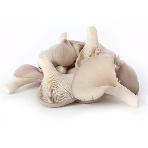 Nấm ngọc thạch - hộp 250g