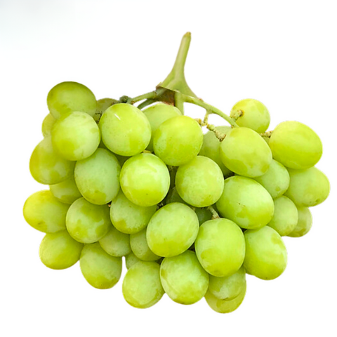 Nho xanh không hạt Mỹ (non-gmo)