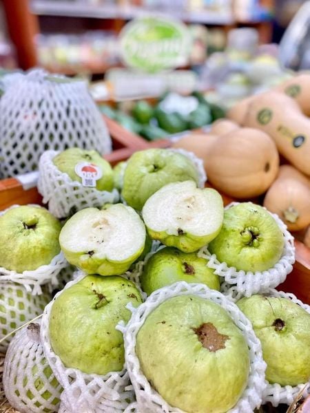 Ổi nữ hoàng hữu cơ ít hạt