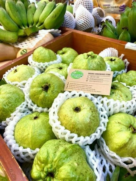 Ổi nữ hoàng hữu cơ ít hạt