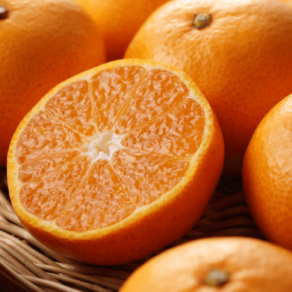 Quýt vàng nhật bản mikan nguyên thùng