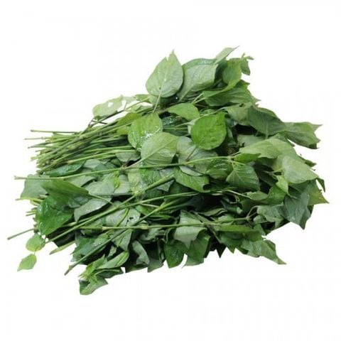 Rau ngót nhật hữu cơ - 250g