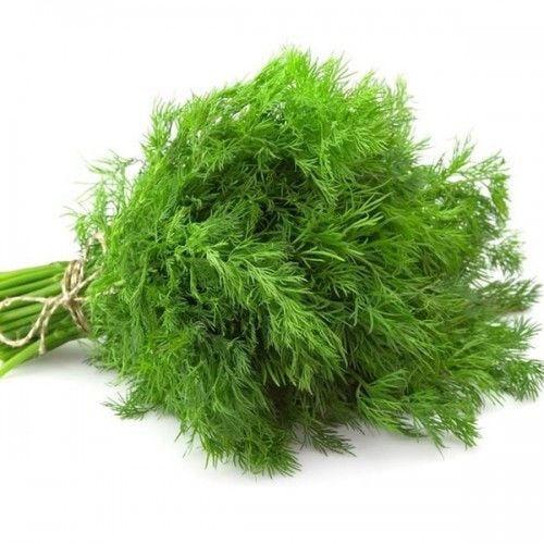 Rau thì là hữu cơ 100g