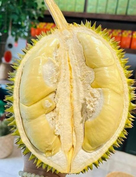 Sầu Riêng Chuồng Bò 1kg