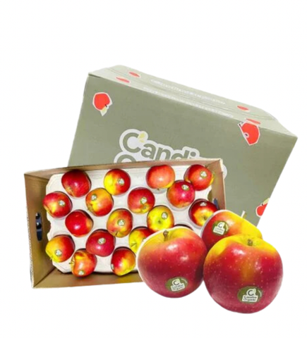 Táo Candine organic Pháp - nguyên thùng 17kg