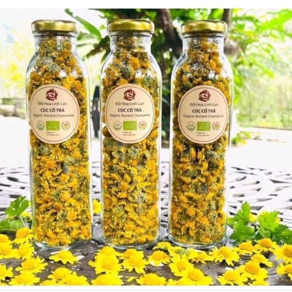 Cúc Cổ Trà Hữu Cơ Karose 20g
