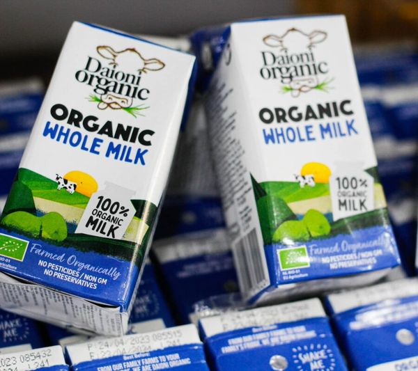 Sữa tươi hữu cơ nguyên kem daioni 200ml