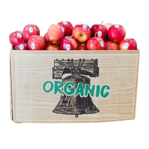 Táo Gala hữu cơ Mỹ