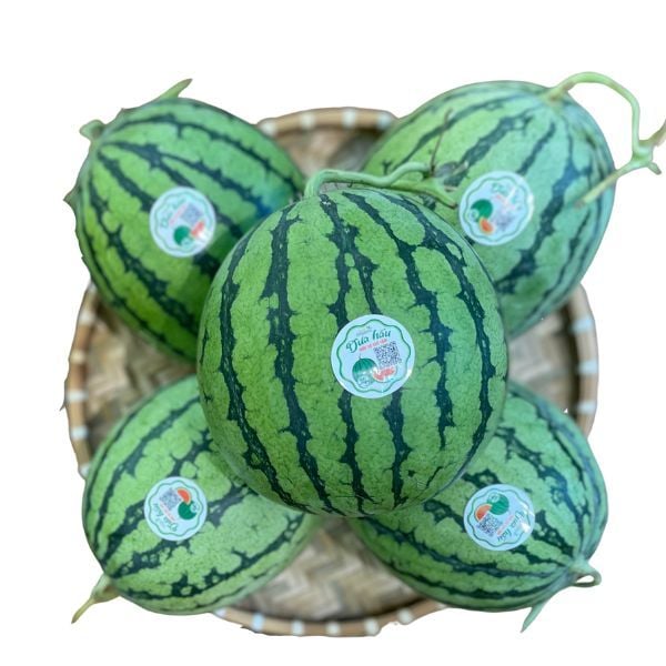Dưa hấu có hạt hữu cơ Quế Lâm - 1kg