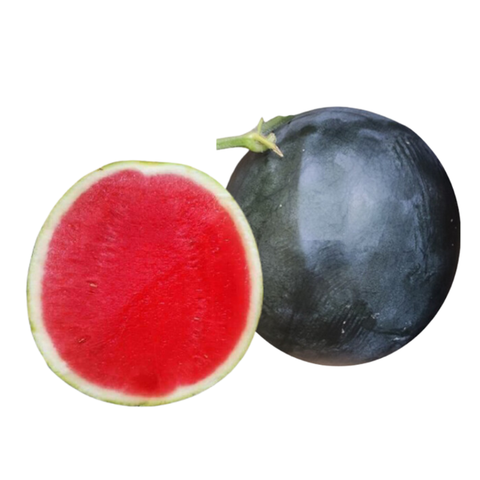 Dưa hấu tròn Hắc Tiểu Long Tết 2026 - trái 5kg