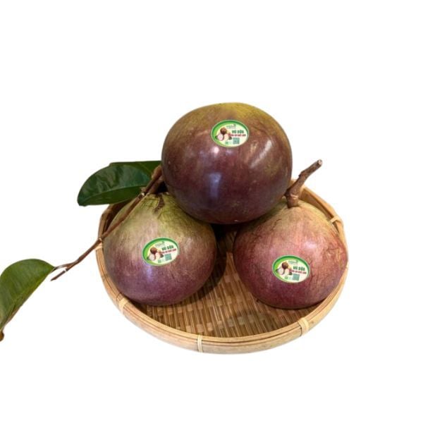 Vú sữa tím Lò Rèn hữu cơ Quế Lâm 1kg