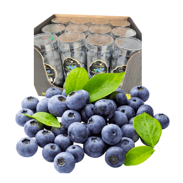 Việt Quất Jumbo African Blue