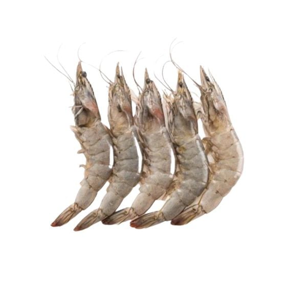 TÔM ĐẤT THIÊN NHIÊN CẮT ĐẦU 300G