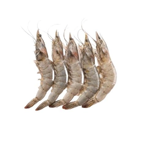 TÔM ĐẤT THIÊN NHIÊN CẮT ĐẦU 300G