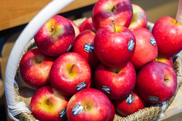 Táo đỏ hữu cơ Dazzle size 70-90 - thùng 17kg