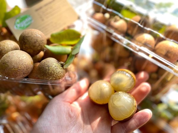 Nhãn Xuồng Canh Tác Sạch 1kg