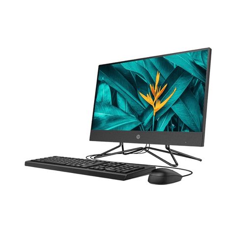 Máy tính HP AIO 205 Pro G4 31Y60PA (Ryzen 5 4500U/8GB/256GB SSD/21.5FHD/Win10)