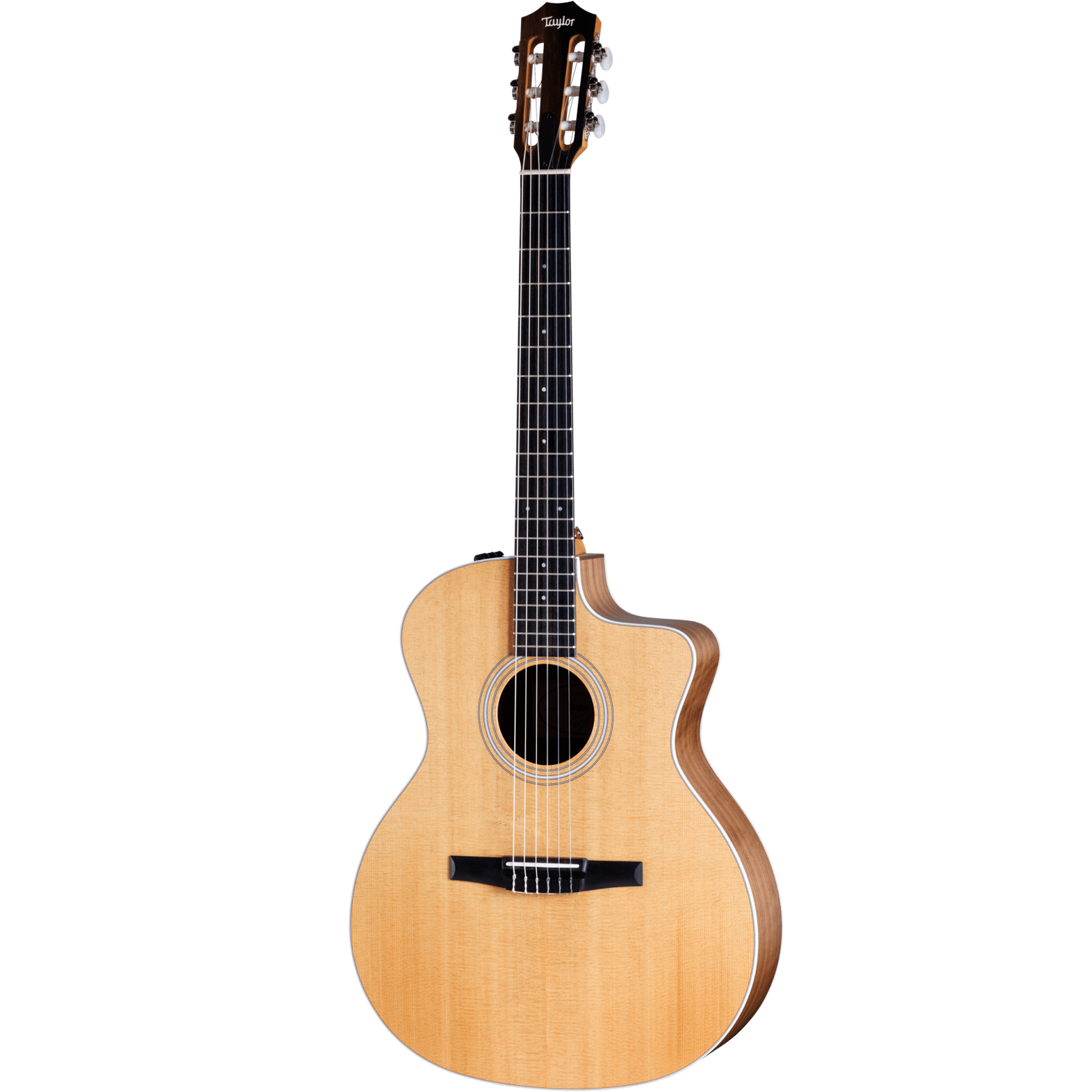  TAYLOR 214CE-N
