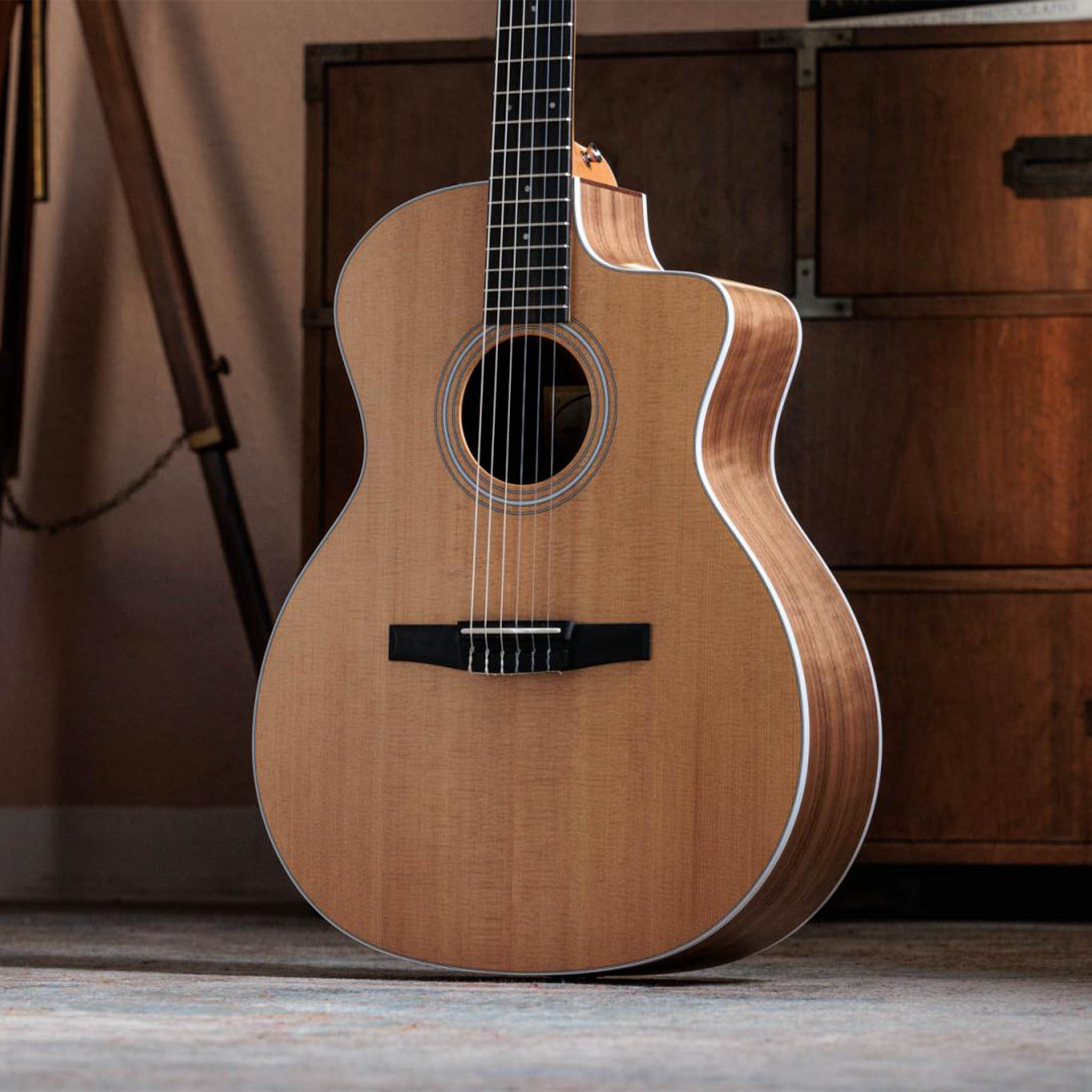 Đàn Guitar Taylor 214CE-N – Việt Thương Music| Đàn Piano| Keyboard