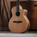  TAYLOR 214CE-N 