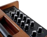  ACUS AMPLY GUITAR THÙNG ONE5TSIMONWOOD 