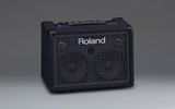  ROLAND KC-220 